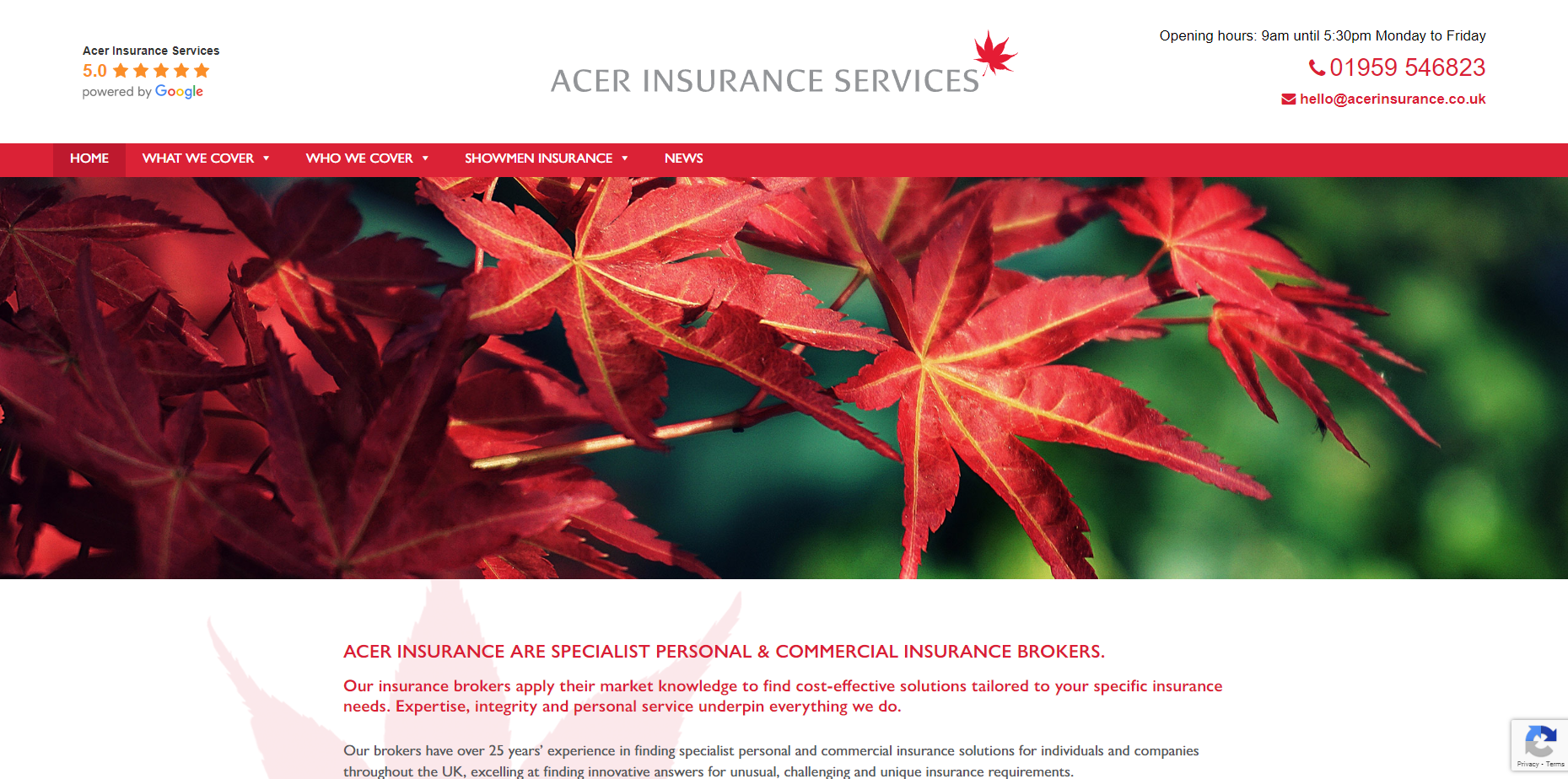 Acer Insurance Website